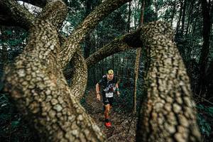 BIB: 
                            <button type="button" onclick="openModal(25393012)" class="btn btn-primary btn-sm float-right btn-popup" data-toggle="modal" data-target=".modal-high-quality">
                        <i class="fas fa-shopping-cart"></i> Add to Cart
                    </button>
                                            <button type="button" onclick="isThisMe(25393012, true)" class="btn btn-success btn-sm float-right btn-popup btn-isme hidden" data-toggle="tooltip" data-placement="bottom" title="นี่คือรูปของคุณใช่ไหม คลิกที่นี่เพื่อเอาเข้าอัลบั้ม">
                        <i class="fas fa-plus"></i> Add to album
                    </button>
                    <button type="button" onclick="isThisMe(25393012, false)" class="btn btn-warning btn-sm float-right btn-popup btn-isnotme hidden">
                        <i class="fas fa-ban"></i> Remove from album
                    </button>